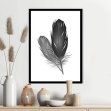 Siyah Kuş Tüyü 3 Çerçeve ve Poster - IL1128