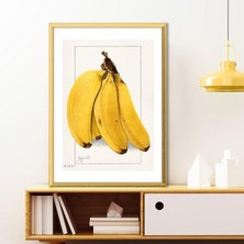 Muz 1 Çerçeve ve Poster - MT1081