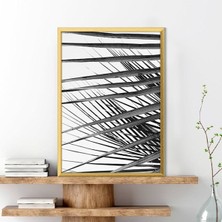 Palmiye Dalları 11 Çerçeve ve Poster - SB1090
