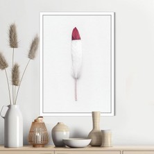 Pembe Detaylı Beyaz Kuş Tüyü 1 Çerçeve ve Poster - H1067