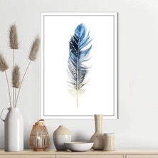 Renkli Kuş Tüyü 12 Çerçeve ve Poster - IL1124