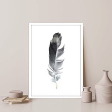 Siyah Kuş Tüyü 4 Çerçeve ve Poster - IL1129