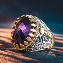 Takılingo 925 Ayar Gümüş Ameteist Taşlı Zirkon Taş Detaylı Erkek Yüzük