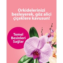 PetroTurk Kullanıma Hazır Orkide Sıvı Bitki Besini - Uzun Süreli Çiçeklenme ve Sağlıklı Büyüme İçin Besleyici Yaprak ve Kök Spreyi Çiçekleri Koruyan Formül 250 ml