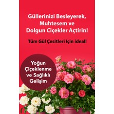 PetroTurk Kullanıma Hazır Gül Sıvı Bitki Besini - Bol Çiçeklenme ve Güçlü Büyüme Sağlayan İç ve Dış Mekan Gülleri İçin 250 ml