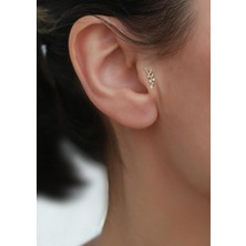 Bayar Gold 14 Ayar Altın Taşlı Dal Tragus