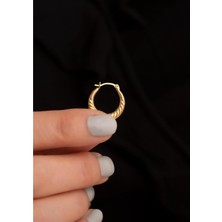 Bayar Gold 14 Ayar Altın Orta Boy Midye Halka Küpe