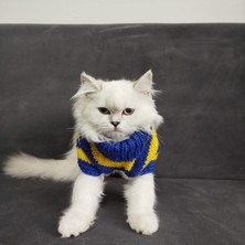 Lady Fify Kedi Köpek için Balıkçı Yaka Fenerbahçe Kazak