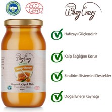 Organic Windy Valley Süzme Çiçek Balı    (500 gr)