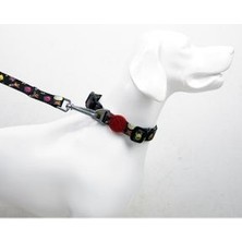 Collar Köpek Boyun Tasması - Space