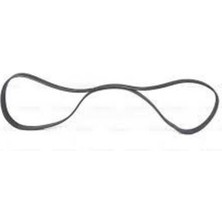 Bosch 1987945704 Alternatör Kanallı Kayışı Kangoo 1.9d 6PK1195 55191006