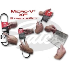 Gates 5PK868SF Kanallı Kayış Focus Cma1.6 1.6 Tı 03 07 Cma1.6 07-Focus 1.4 1.6 1.6 Tı 04- 4M5Q6D314CC