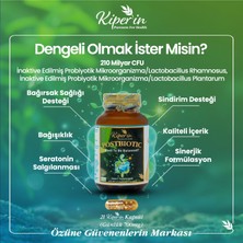 Kiperin Postbiyotik 210 Milyar Cfu Rhamnosus & Plantarum (21KAPSÜL & 700MG) | Akıllı Gıda Takviyesi