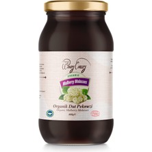 Organic Windy Valley Dut Pekmezi Soğuk Sıkım Katkısız Şeker ilavesiz  (460gr)