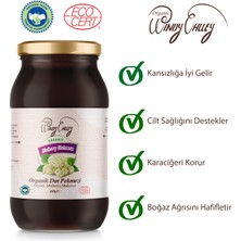 Organic Windy Valley Dut Pekmezi Soğuk Sıkım Katkısız Şeker ilavesiz  (460gr)