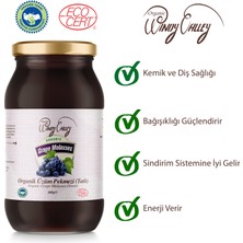 Organic Windy Valley Üzüm Pekmezi Soğuk Sıkım Katkısız Şeker ilavesiz  (460gr)