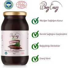 Organic Windy Valley Keçiboynuzu Pekmezi Özü  (380gr)