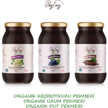 Organic Windy Valley Pekmez Seti Soğuk Sıkım   Katkısız Şeker ilavesiz (3'lü Set ) Organic Windy Valley Üzüm Pekmezi 460gr,Dut Pekmezi 460gr,Keçi Boynuzu Pekmezi 380gr