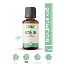 Okaliptus Uçucu Yağı %100 Doğal Saf 10 ml