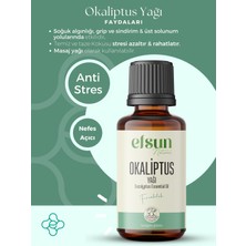 Okaliptus Uçucu Yağı %100 Doğal Saf 10 ml