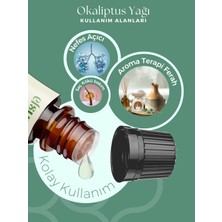 Okaliptus Uçucu Yağı %100 Doğal Saf 10 ml