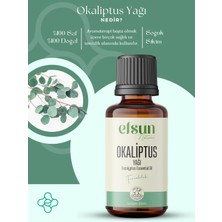 Okaliptus Uçucu Yağı %100 Doğal Saf 10 ml