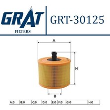 Grat 30125 Hava Filtresi N52-N53-E87-E89 13717536006