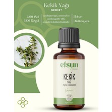 Kekik Uçucu Yağı %100 Doğal Saf 10 ml