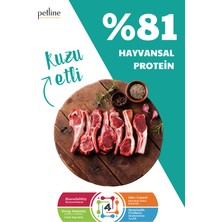 Petline Mini Irk Kuzu Etli Yetişkin Köpek Maması 6kg (2 x 3kg) - Clever