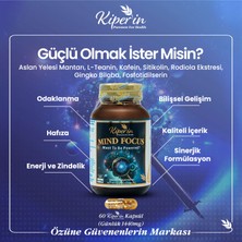 Kiperin Mind Focus Aslan Yelesi Mantarı, Sitikolin, Rhodiola, L-Theanin .. (1440MG) | Akıllı Gıda Takviyesi