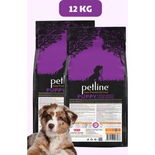 Petline Kuzu Etli Yavru Köpek Maması 24kg (2 x 12 kg) - Kids