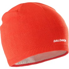Salomon Salomon Beanie Unisex Bere