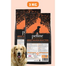 Petline Sensitive Skin Somonlu Yetişkin Köpek Maması 6kg (2x3kg) -Sensitive