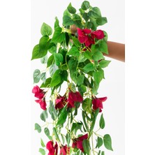 Güleç Yapay Çiçek Yapay Sarmaşık Begonvil Kırmızı 100 cm 8 Dal