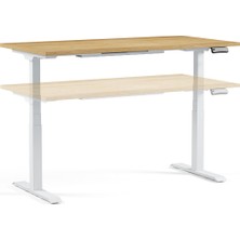 Regula Desk 3P - Elektrikli Yüksekliği Ayarlanabilir Çalışma Masası (Siyah Ayak, Meşe Tabla - 120x60)