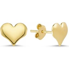 Sembol Gold Altın Kalp Küpe İğne Model