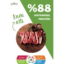 Petline Mini ve Küçük Irklar Için Kuzu Etli Yavru Köpek Maması Başlangıç 6kg (2X3KG) - Starter