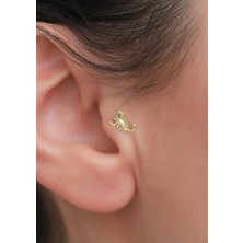 Bayar Gold 14 Ayar Altın Akrep Tragus Piercing