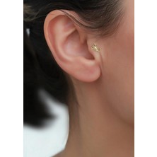 Bayar Gold 14 Ayar Altın Akrep Tragus Piercing