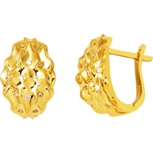 Bilezikci Meltem 14 Ayar Altın Kadın Küpe