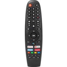 Digipoll Google Tv Kumandası-Mikrofonlu