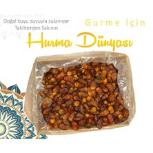 Hurma Dünyası Sukkari Hurma 5 kg