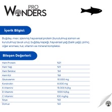 Pro Wonders Somonlu ve Pirinçli Yetişkin Premium Köpek Maması 15 kg