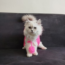 Lady Fify Kedi Köpek için Pembe Kapüşonlu Pelerin