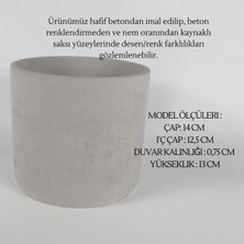 Dekoratif Beton Saksı - Orta Boy Silindir  - Gri/beyaz - 13X15CM