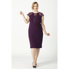 1279 Kare Baklava Desenli Kısa Büyük Beden Abiye Elbise Mürdüm