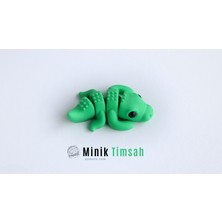 Timsah 3D Hareketli Oyuncak - Model Midi (Orta) Boy