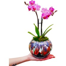 Çiçek Seli Marbling Art Phalaenopsis Orkide & Seramik Top Akıtma Saksıda Orkide Çiçeği Hediye İç Mekan Bitki