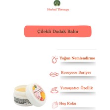 Herbal Therapy Çilekli Dudak Balmı, 20 ml