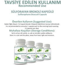 Sülforafan Brokoli Kapsül (SULFORAPHANE BROCCOLİ CAPSULE)
